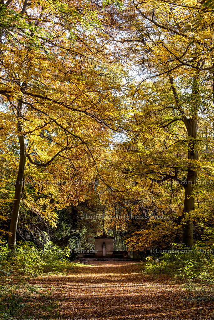 10049-5416 - Brühlpark _ Quedlinburg | Stockfoto und Bilderpool mit Bildmaterial aus Deutschland, dem Harz, Halberstadt, Quedlinburg, Wernigerode und weltweit. Qualitativ hochwertige und professionelle Fotos anschauen und kaufen. - Realisiert mit Pictrs.com