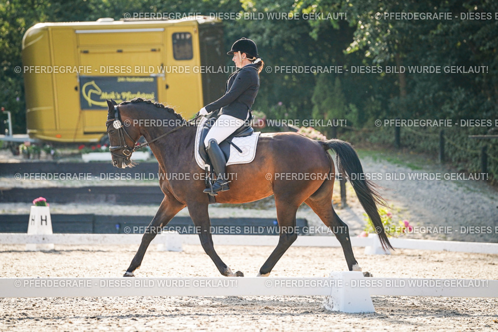 DSC08002 | Pferdegrafie