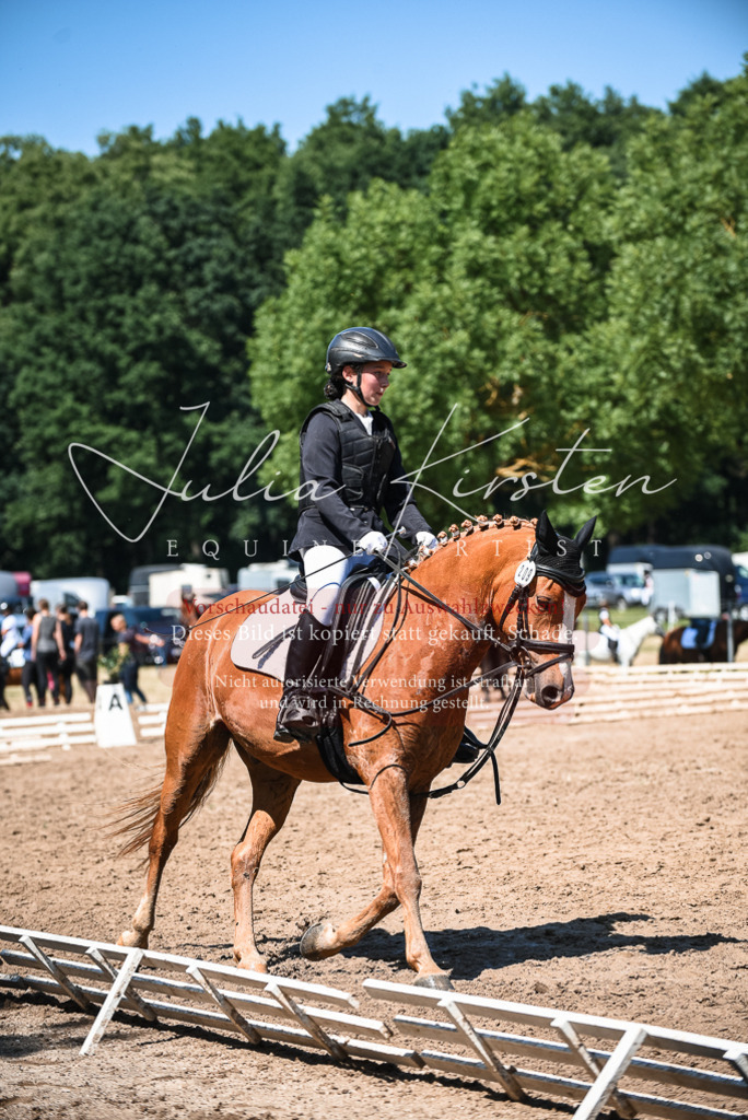 DSC_3257 | Pferde- und Turnierfotografie in Westsachsen. Pferdeportraits, Auftragszeichnungen und intuitive Kunst.