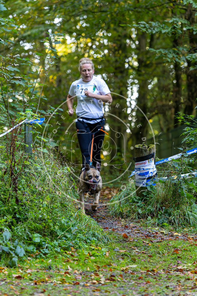 Pfotenfotografie_DV3A7473 | Hundefotografie, Tierfotograf, Pfotenfotografie, Fotoshooting Hund, Hunde Portrait, Hundesport, Hundeportraits, Heideshooting, Hunde, Sportfotograf, Hundefotograf, Turnierhundsport, THS,  - Realisiert mit Pictrs.com
