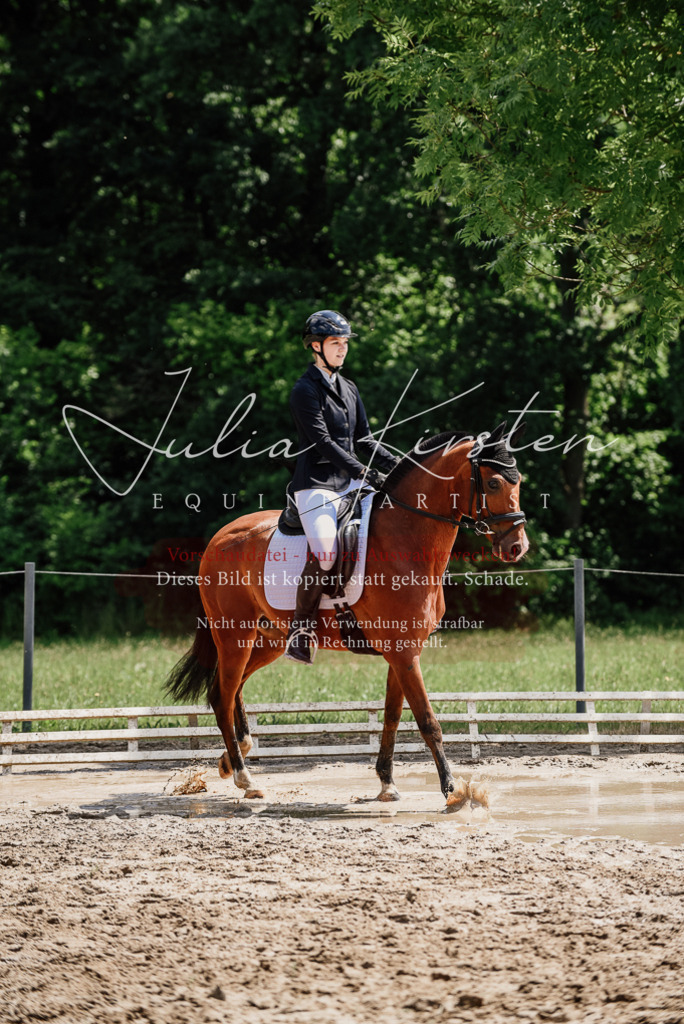 DSC_1720 | Pferde- und Turnierfotografie in Westsachsen. Pferdeportraits, Auftragszeichnungen und intuitive Kunst.