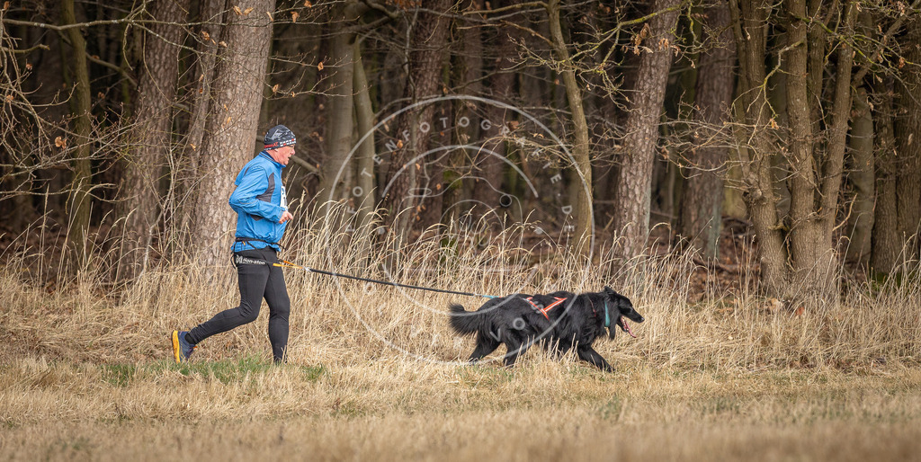 DV3A4225 | Hundefotografie, Tierfotograf, Pfotenfotografie, Fotoshooting Hund, Hunde Portrait, Hundesport, Hundeportraits, Heideshooting, Hunde, Sportfotograf, Hundefotograf, Turnierhundsport, THS,  - Realisiert mit Pictrs.com