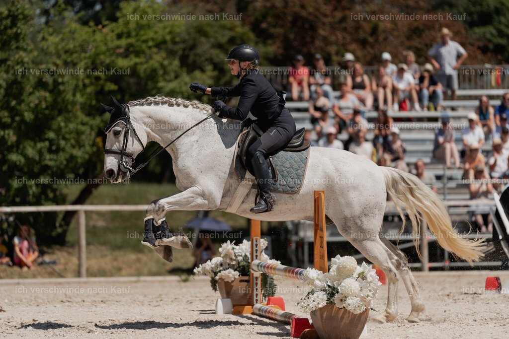 WE_SP_Stoib_331_PI2025_1838 | Pferd International München 2025