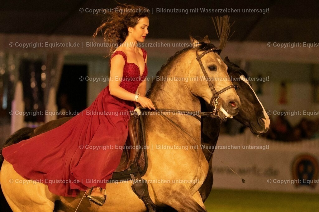 20230526_Pferdenacht_1404 | equistock