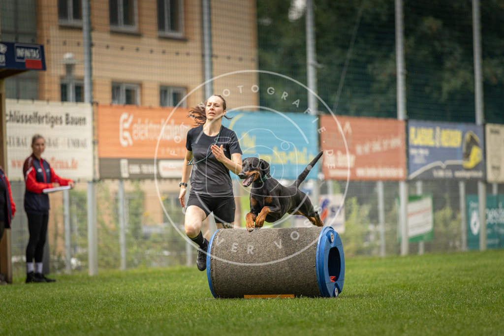 Pfotenfotografie_DV3A1409 | Hundefotografie, Tierfotograf, Pfotenfotografie, Fotoshooting Hund, Hunde Portrait, Hundesport, Hundeportraits, Heideshooting, Hunde, Sportfotograf, Hundefotograf, Turnierhundsport, THS,  - Realisiert mit Pictrs.com