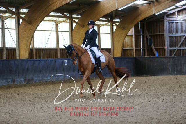 IMG_0279 | Turniersportfotografie; Pferdefotografie; Dressurfotografie