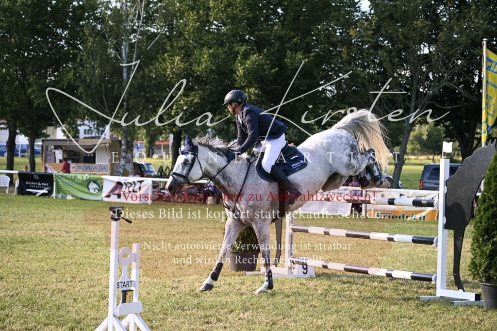 DSC_1730 | Pferde- und Turnierfotografie in Westsachsen. Pferdeportraits, Auftragszeichnungen und intuitive Kunst.
