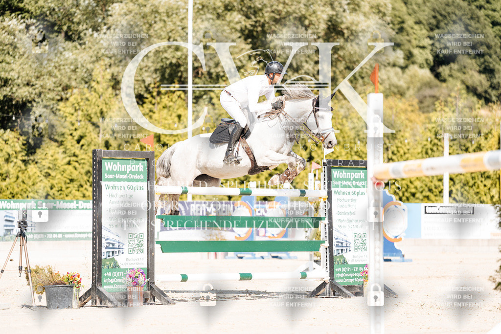 CK909147 | Turnierfotografie Pferdefotografie Trier Rheinland-Pfalz Pferdesport Reitsport Tierfotografie Sportfotografie Pferdevideo Pferdevideografie Equestrianvideography equestrianphotography  - Realisiert mit Pictrs.com
