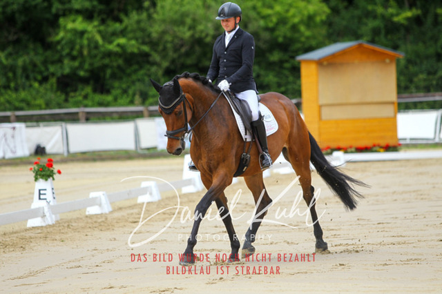 DKP46144 | Turniersportfotografie; Pferdefotografie; Dressurfotografie