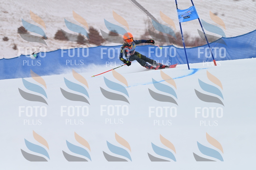 BGV_0731 | holidayphoto