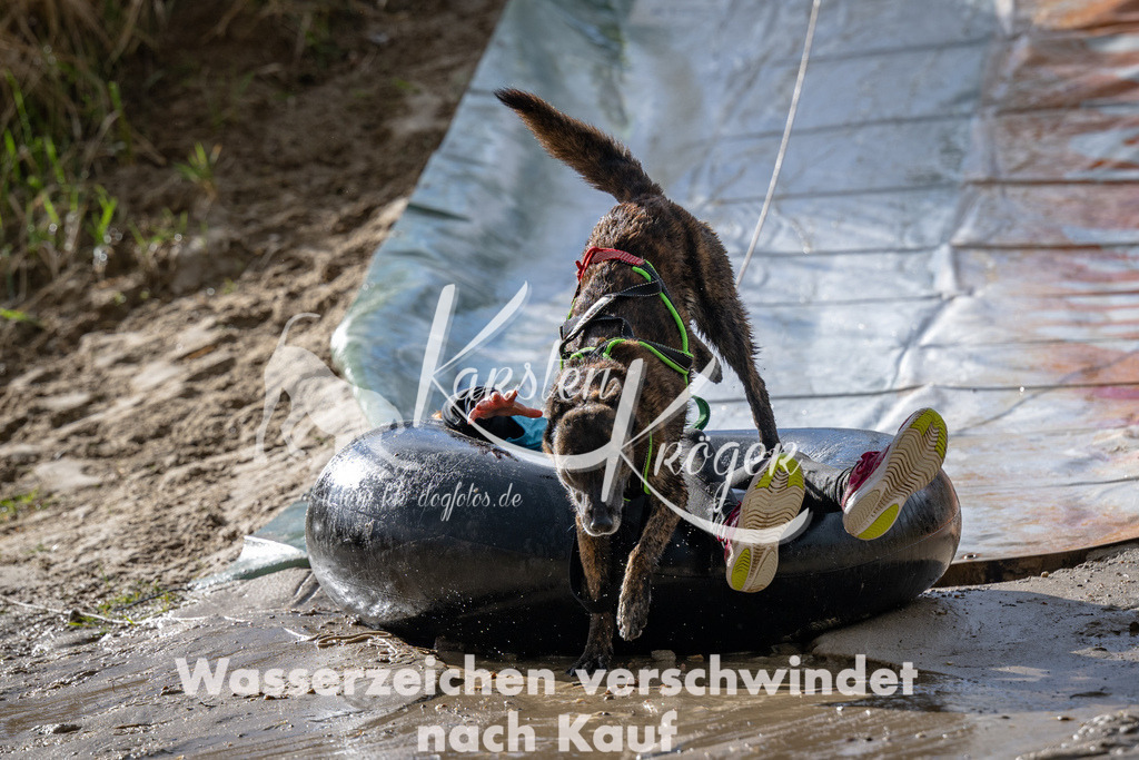 1547_ZZ91313 | kk-dogfotos