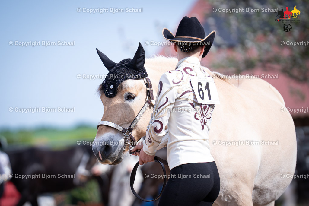 LMB07317 | BS-foto