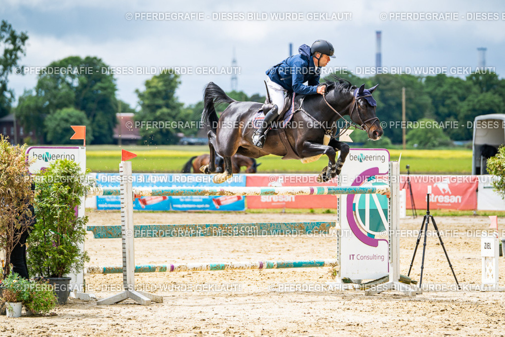 DSC04175 | Pferdegrafie