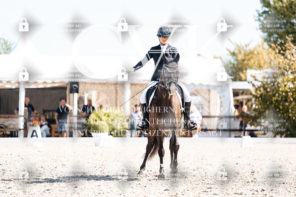 CK909445 | Turnierfotografie Pferdefotografie Trier Rheinland-Pfalz Pferdesport Reitsport Tierfotografie Sportfotografie Pferdevideo Pferdevideografie Equestrianvideography equestrianphotography  - Realisiert mit Pictrs.com