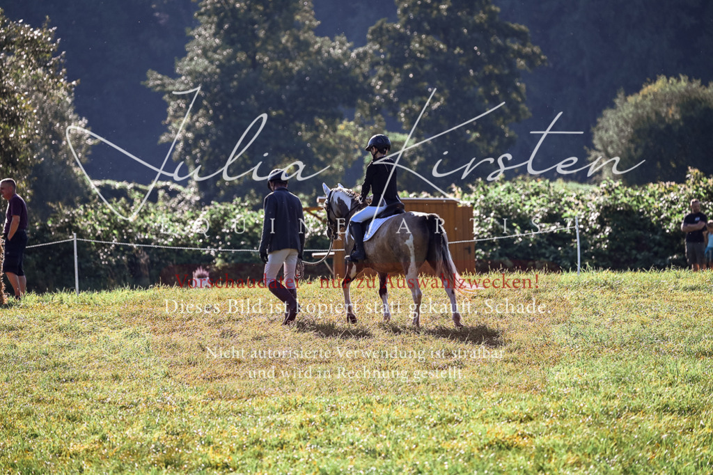 DSC_0316 | Pferde- und Turnierfotografie in Westsachsen. Pferdeportraits, Auftragszeichnungen und intuitive Kunst.