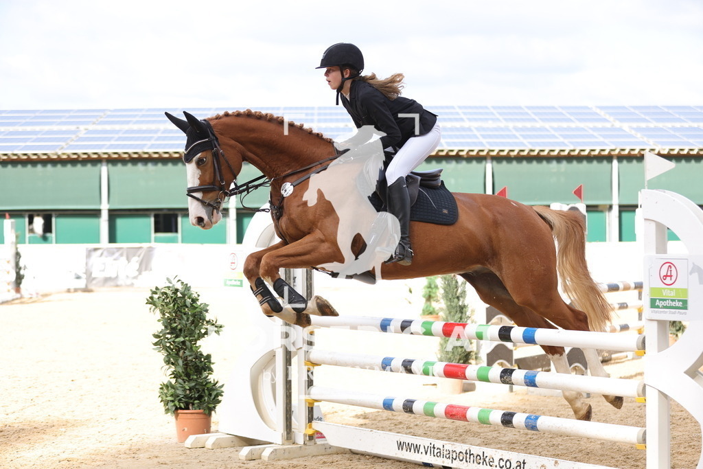 0P6A3344 | Willkommen bei Brunnmayr - Design & Fotografie – Ihrem Spezialisten für Reitturniere und Pferdeveranstaltungen in Oberösterreich, Salzburg und Bayern! Seit über 17 Jahren sind wir leidenschaftlich dabei.