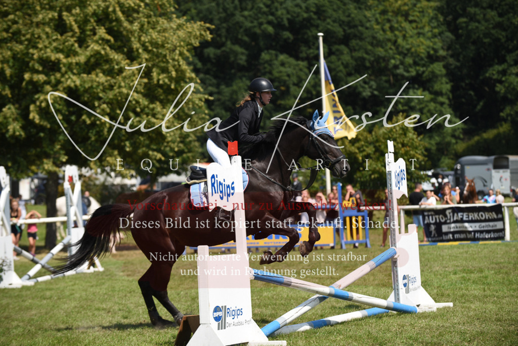 DSC_0049 | Pferde- und Turnierfotografie in Westsachsen. Pferdeportraits, Auftragszeichnungen und intuitive Kunst.