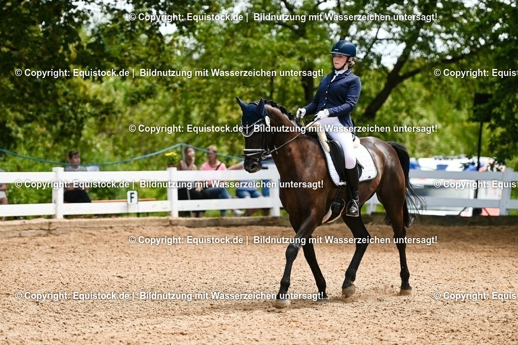 20230716_03_Dressurprfg. Kl.L - Tr._0602 | equistock