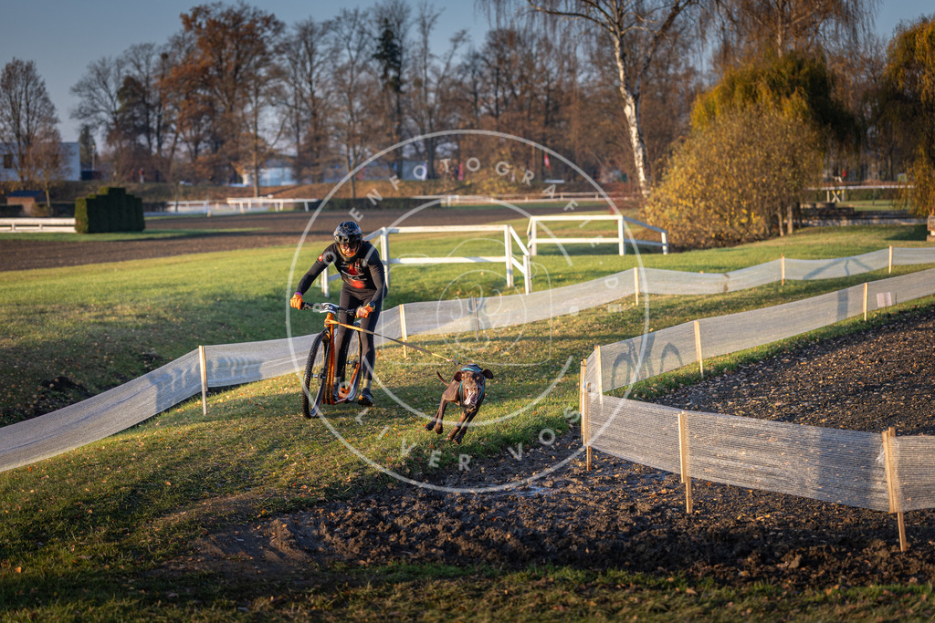 CaniXpix_DV3A9784 | Hundefotografie, Tierfotograf, Pfotenfotografie, Fotoshooting Hund, Hunde Portrait, Hundesport, Hundeportraits, Heideshooting, Hunde, Sportfotograf, Hundefotograf, Turnierhundsport, THS,  - Realisiert mit Pictrs.com