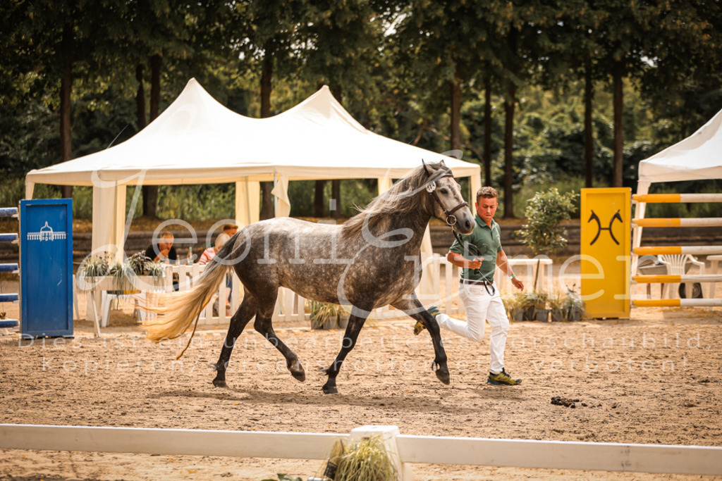 04.So00080 | Leoni Ertmer Photography - Realisiert mit Pictrs.com