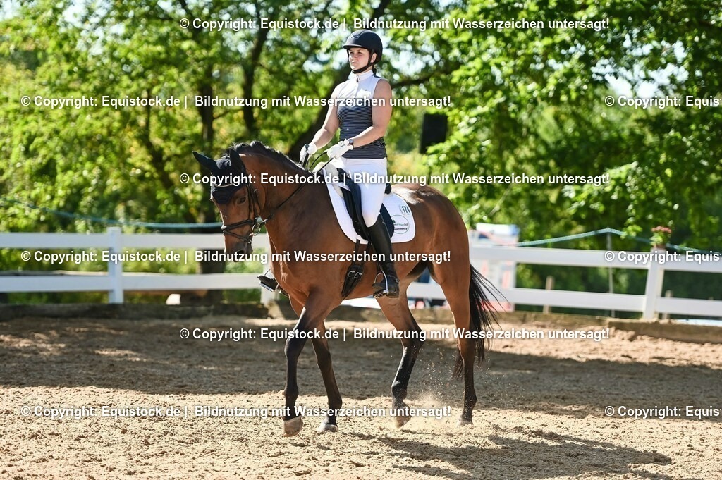 20230715_06_Dressurpferdeprfg. Kl.A_0387 | equistock