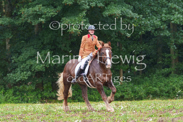 Jagd Perdoel 26 Sony-03532_MarinaHewig | Fotografie, FotoArt, PferdesportArt, Pferdesportfotografie, Landschaftsfotografie, Reisefotografie, Reise, Pferde - Realisiert mit Pictrs.com