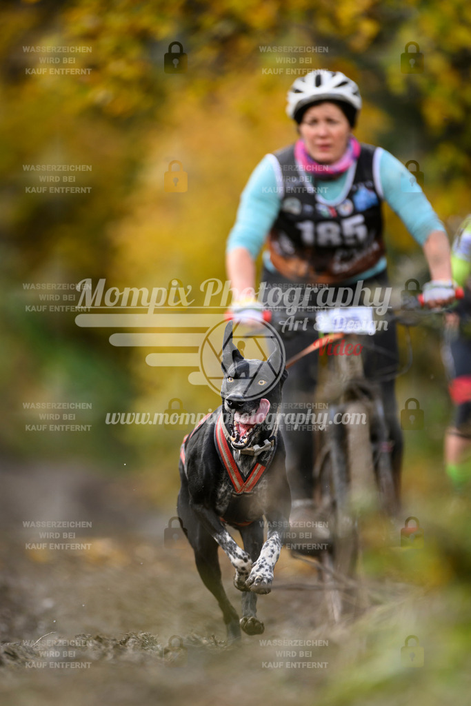 MompixPhotography_ICF_WC_2024_SA_Bike_-273 | PayLife