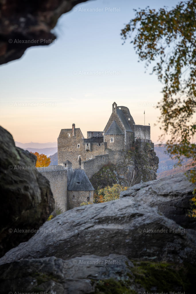 aggstein_c_alexander_pfeffel-2955 | alexander-pfeffel - Realisiert mit Pictrs.com