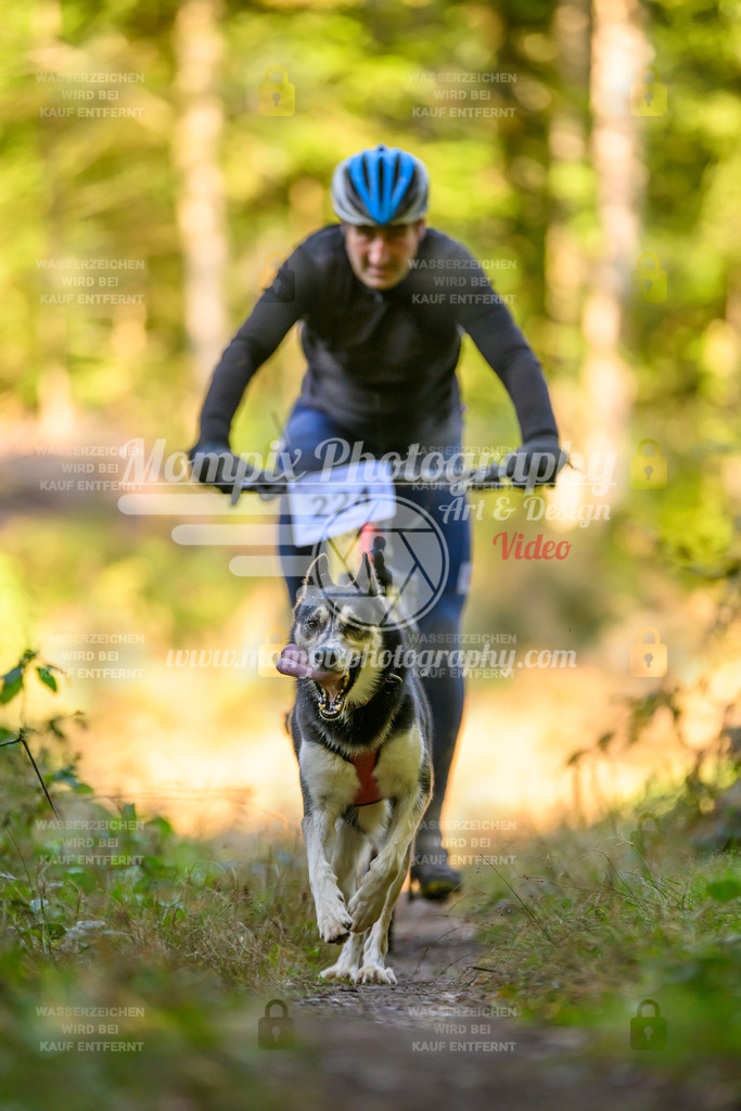 MompixPhotography_Yens2025_B3-117 | PayLife