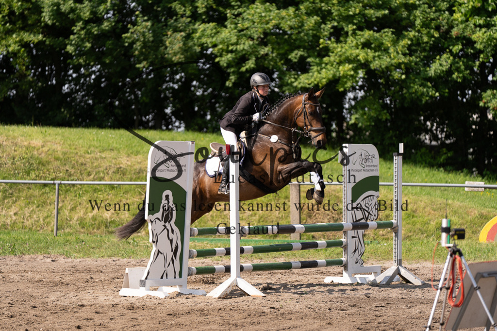 A7507408 | Turnier/Reitfotograf