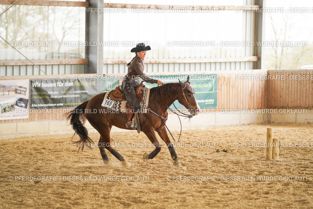 DSC04797 | Pferdegrafie