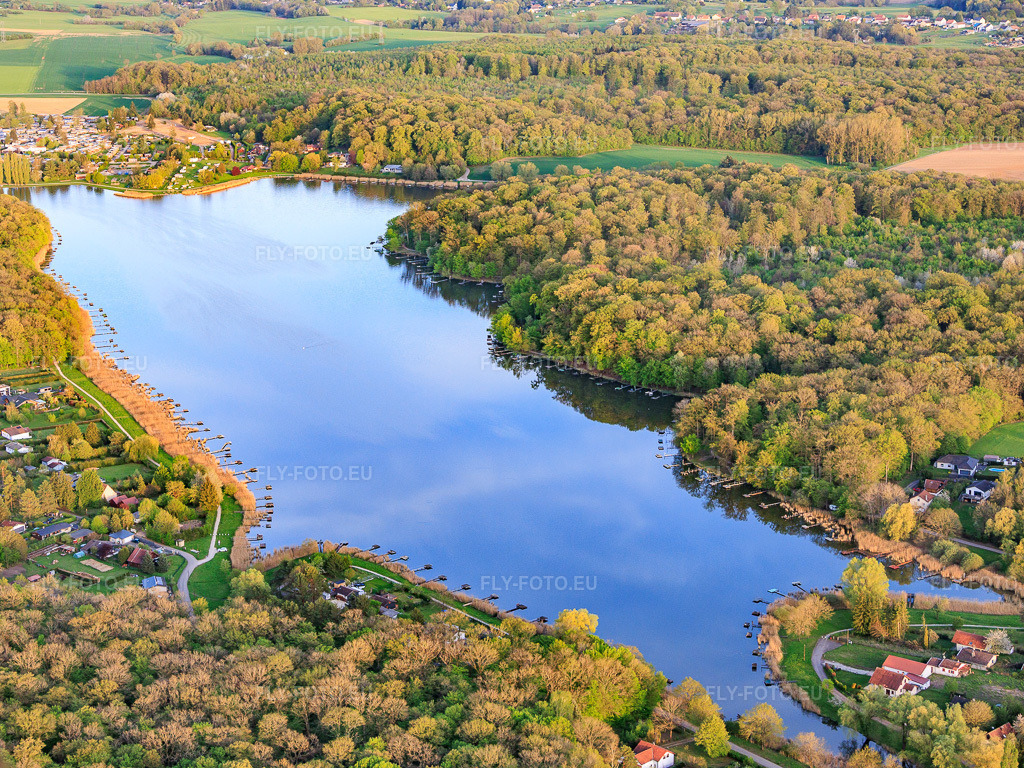 Vue aérienne: Etang des marais en forêt à Rémering-lès-Puttelange dans le département Moselle, France.Photo: IMG_154374.jpg prise le 17/04/2026 par Werner Riehm/FLY-FOTO.euRésolution de l'original: 5333 x 4000 px