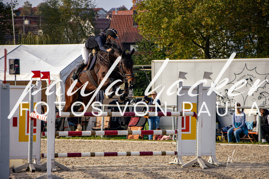 IMG_4654 | Erleben Sie dynamische Sport- und emotionale Tierfotografie in Süddeutschland mit Fotos von Paula. Spezialisiert auf Pferde- und Hundefotografie sowie Sportevents. Kontaktieren Sie mich für einzigartige und ausdrucksstarke Bilder Ihrer besonderen Momente. - Realisiert mit Pictrs.com