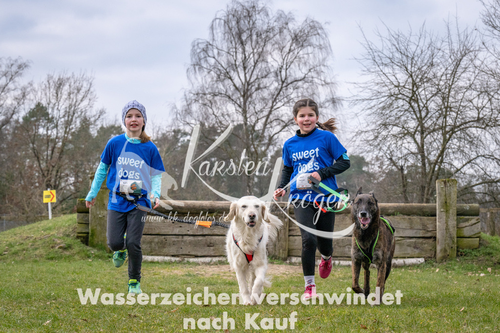 _ZZ91737 | kk-dogfotos
