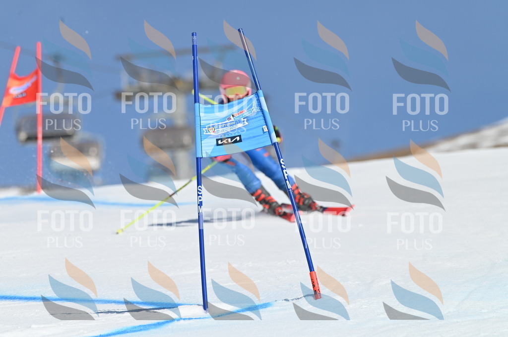 BGV_8306 | holidayphoto