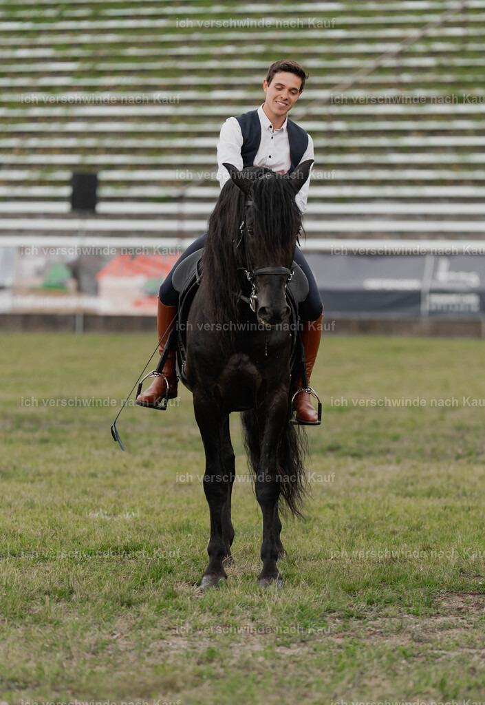 Showprogramm-414 | working equitationturnier fotograf videograf stoibphotography marixx film working equitation deutschland reitsport turnierfotografie eventfotografie equestrian events