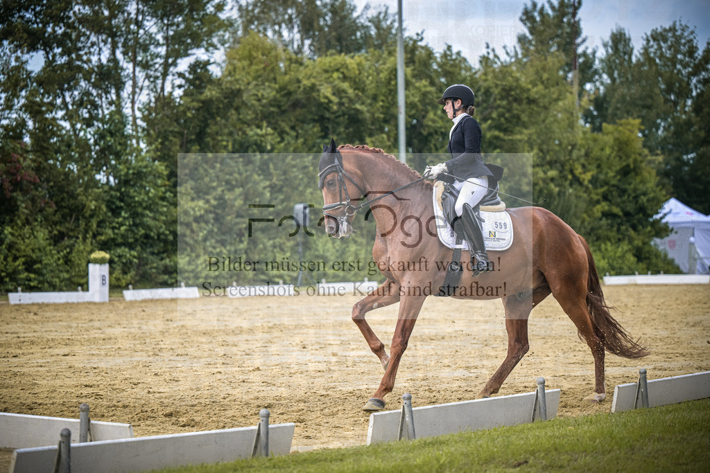 DOS_9447 | Entdecke hochwertige Reitturnierfotos von Foto Oger. Professionell, emotional und authentisch – jetzt Lieblingsmomente im Shop bestellen.Deutschlandweite Turnierfotografie. - Realisiert mit Pictrs.com