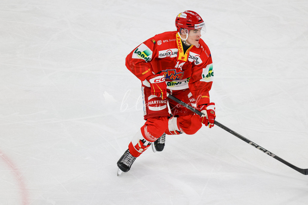 EHCB vs EHCK_wb-0373 | Sportbilder, Sportfotograf, Hochzeits- und Eventfotografin, Flugshows, Portraits und Tiershooting, Aviation, Downhill, Nationalleague, Swissleague, International
