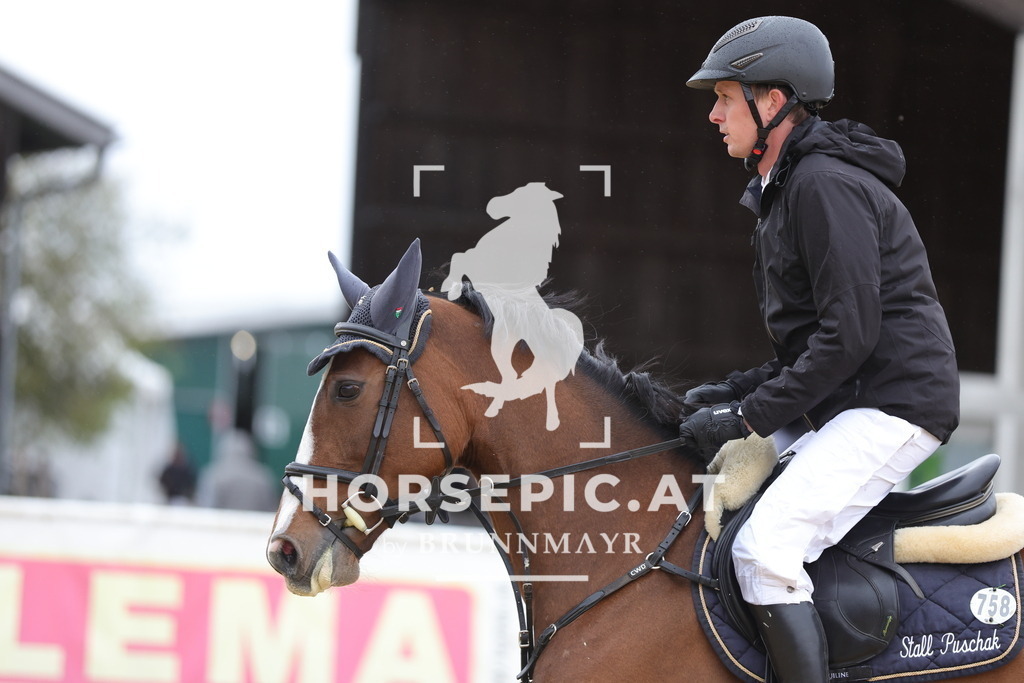 0P6A8601 | Willkommen bei Brunnmayr - Design & Fotografie – Ihrem Spezialisten für Reitturniere und Pferdeveranstaltungen in Oberösterreich, Salzburg und Bayern! Seit über 17 Jahren sind wir leidenschaftlich dabei.