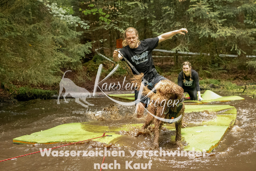 1217_ZZ93698-Bearbeitet | kk-dogfotos
