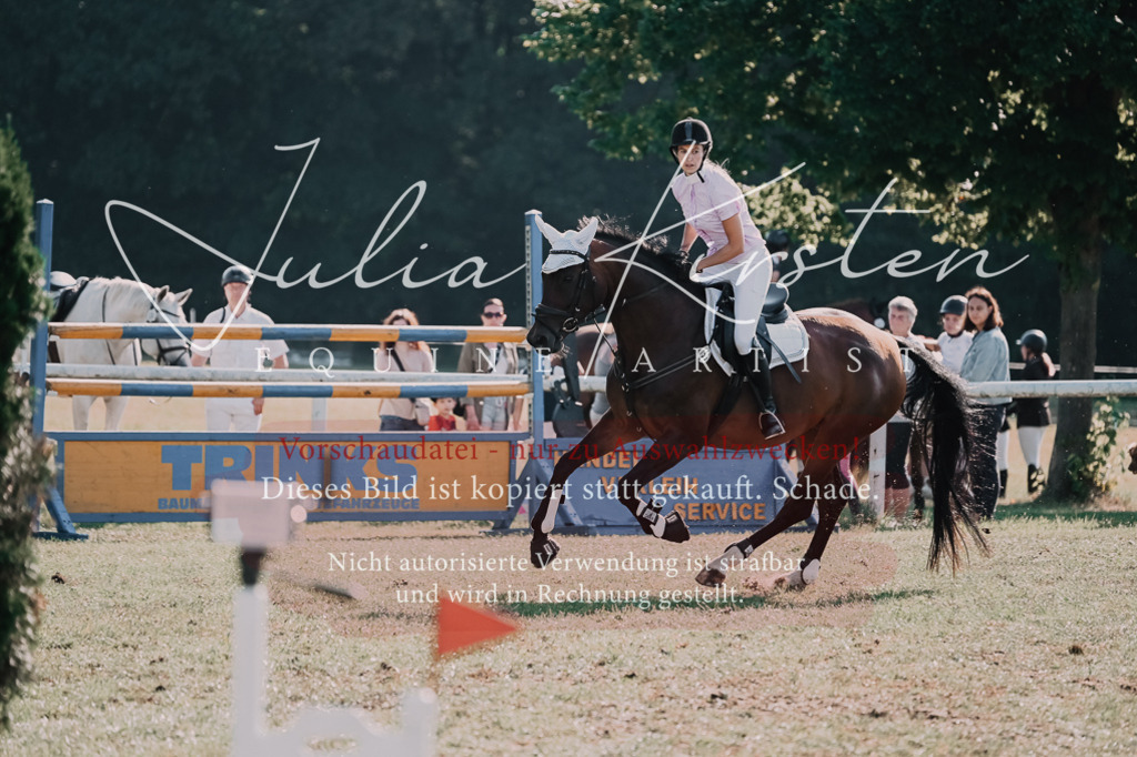 DSC_4790 | Pferde- und Turnierfotografie in Westsachsen. Pferdeportraits, Auftragszeichnungen und intuitive Kunst.