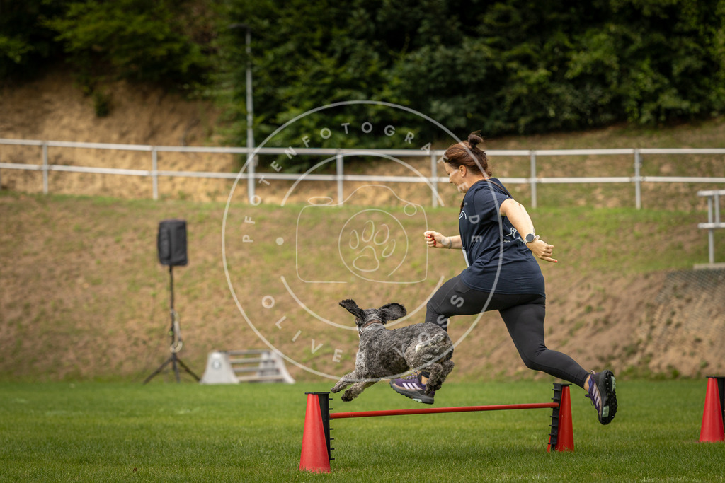 Pfotenfotografie_DV3A1784 | Hundefotografie, Tierfotograf, Pfotenfotografie, Fotoshooting Hund, Hunde Portrait, Hundesport, Hundeportraits, Heideshooting, Hunde, Sportfotograf, Hundefotograf, Turnierhundsport, THS,  - Realisiert mit Pictrs.com