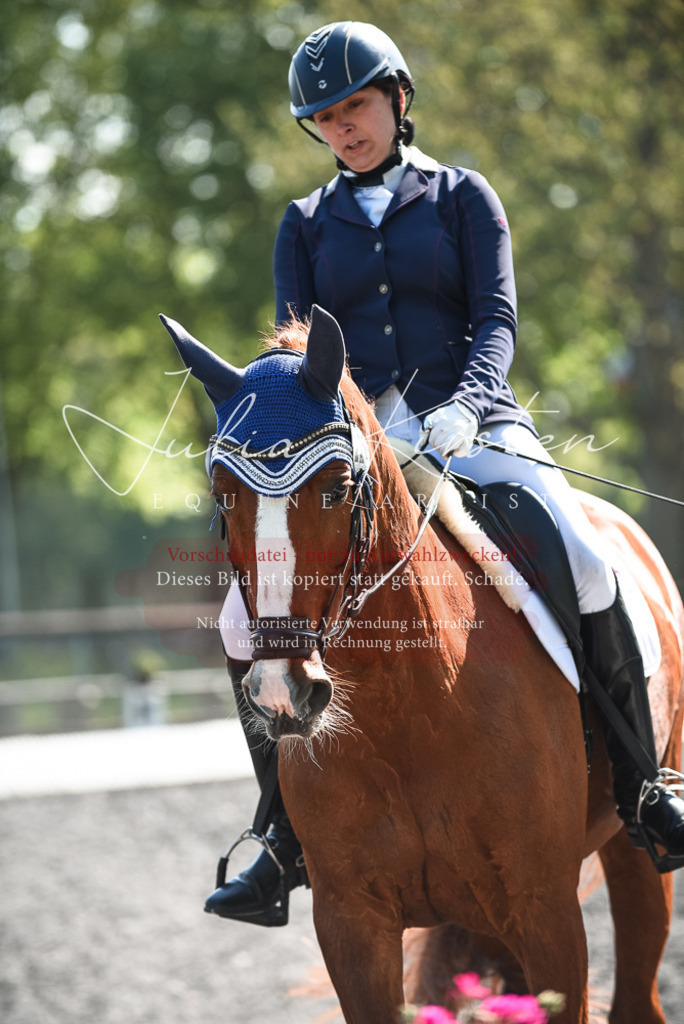 DSC_8844 | Pferde- und Turnierfotografie in Westsachsen. Pferdeportraits, Auftragszeichnungen und intuitive Kunst.