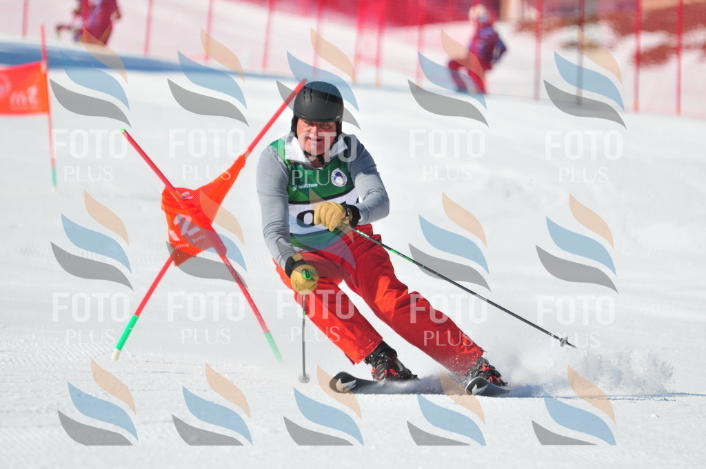 C2341 | holidayphoto