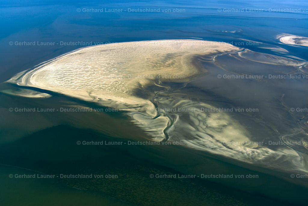 3801569 | Süderoogsand,Nationalpark Schleswig-Holsteinisches Wattenmeer