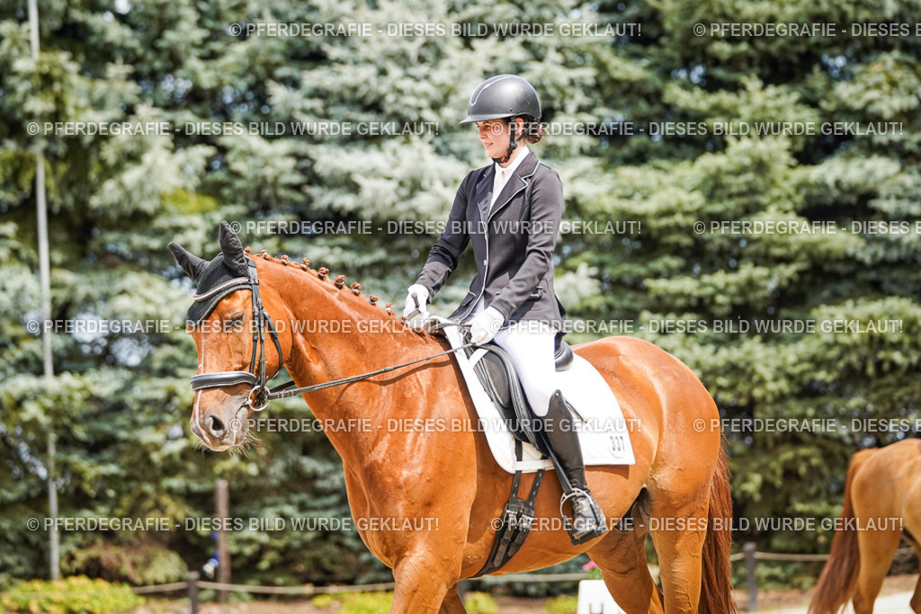 DSC03971 | Pferdegrafie