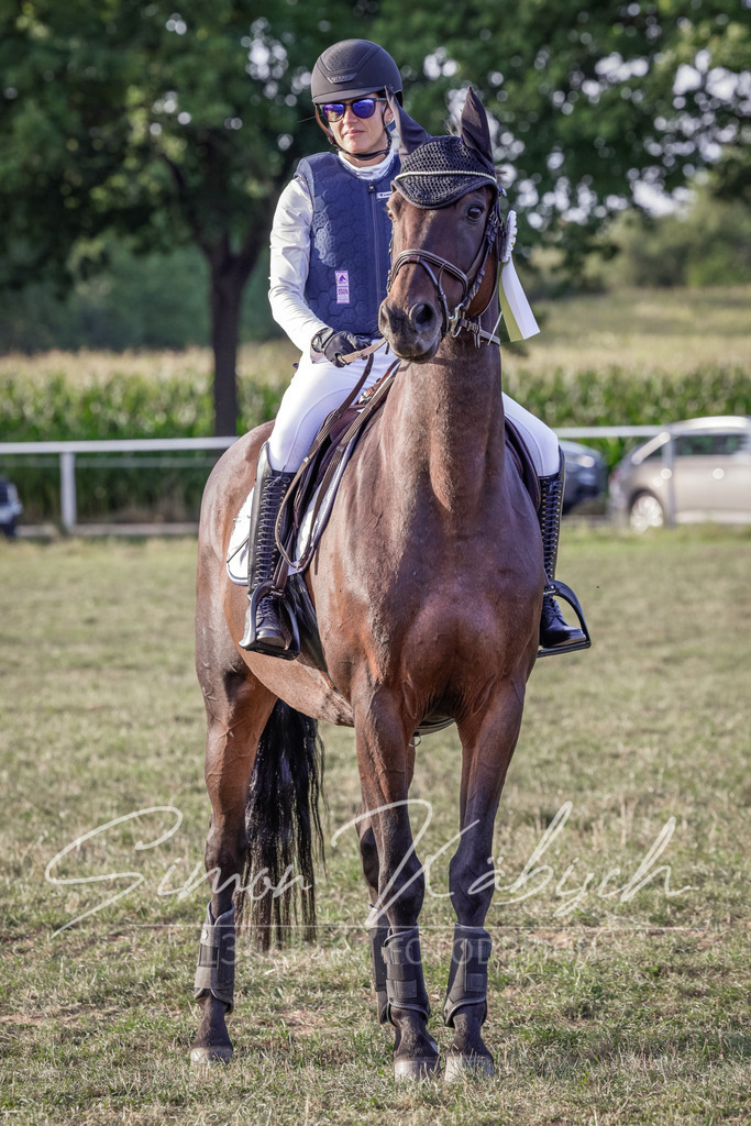 20250906-_3LI8042 | Tierfotografie Pferde, Hunde, Katzen, Haustiere.
Turnierfotografie Reitturniere, Reiten, Springreiten, Dressur in Hanau, dem Main-Kinzig-Kreis und dem Rhein-Main- Gebiet um Frankfurt
