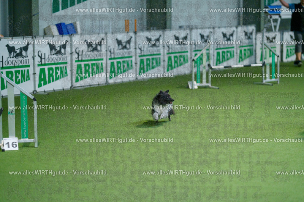 @allesWIRTHgut_Tierfotografie - www.allesWIRTHgut.de - 2604250841-7R507402 | Professionelle Tierfotografie in Mönchengladbach von Daniel Wirth (allesWIRTHgut). Liebevolle & natürliche Bilder von Hunden & Katzen für unvergessliche Erinnerungen.