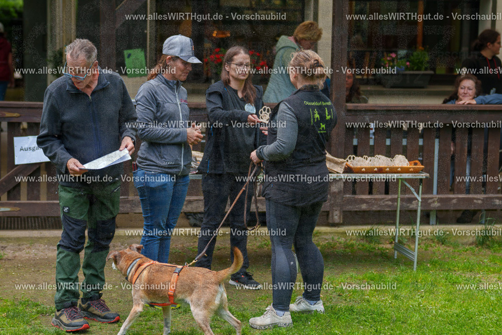@allesWIRTHgut_Tierfotografie - www.allesWIRTHgut.de - 7R503924 | Professionelle Tierfotografie in Mönchengladbach von Daniel Wirth (allesWIRTHgut). Liebevolle & natürliche Bilder von Hunden & Katzen für unvergessliche Erinnerungen.