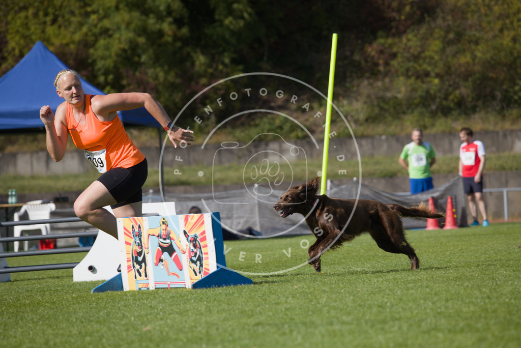 0L8A8114 | Hundefotografie, Tierfotograf, Pfotenfotografie, Fotoshooting Hund, Hunde Portrait, Hundesport, Hundeportraits, Heideshooting, Hunde, Sportfotograf, Hundefotograf, Turnierhundsport, THS,  - Realisiert mit Pictrs.com